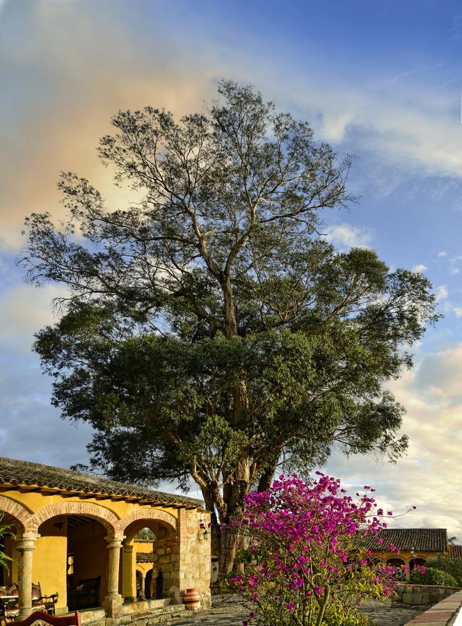 Hotel Hacienda El Salitre بايبا المظهر الخارجي الصورة